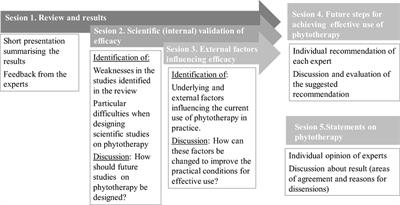 Priorities and Future Actions for an Effective Use of Phytotherapy in Livestock—Outputs from an Expert Workshop